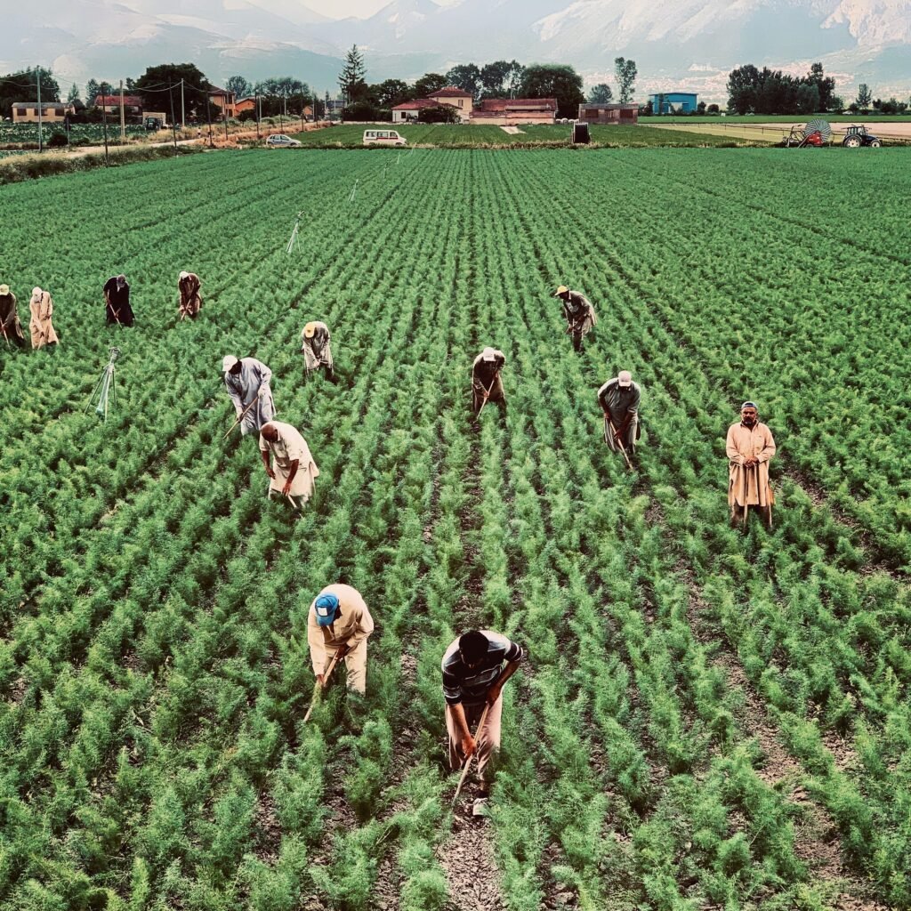 Agricultural projects